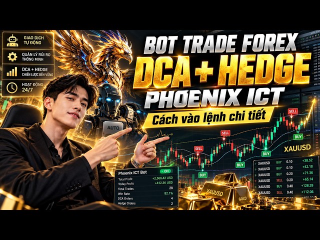BOT TRADE FOREX - Phoenix ICT Silver Bullet | Cách Vào Lệnh, DCA, Hedge Chi Tiết