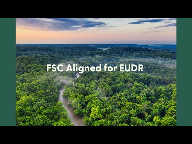 Introducing FSC Aligned for EUDR