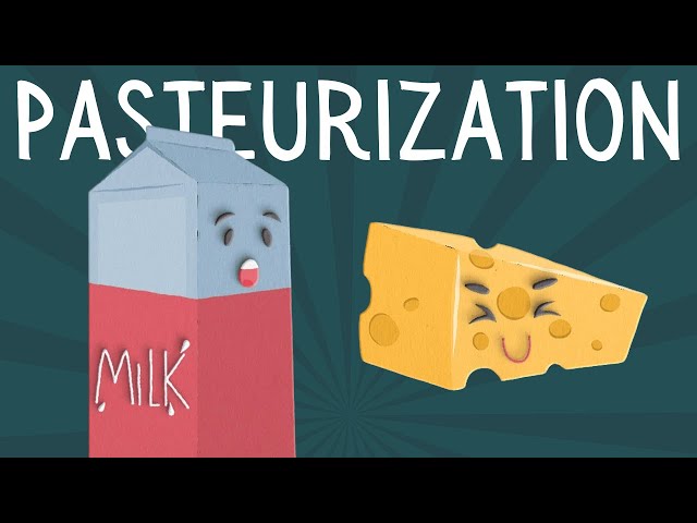 What is pasteurization?