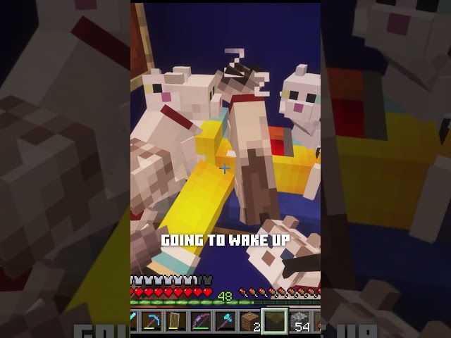 Minecraft, but I share my World
