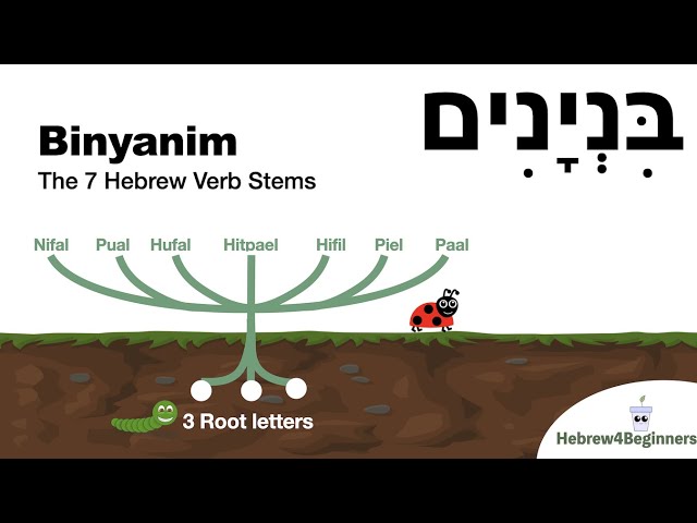 Understanding Hebrew Verbs - The Binyanim explained visually!