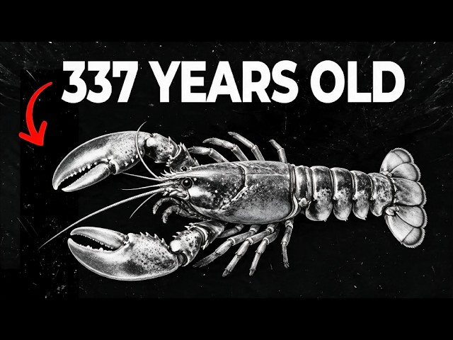 The Creature With The Most Disturbing Death