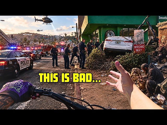 HOLLYWOOD IS A CRAZY PLACE | Car Drives Into Building, Pitbull Attack, Homelessness Is Rampant..