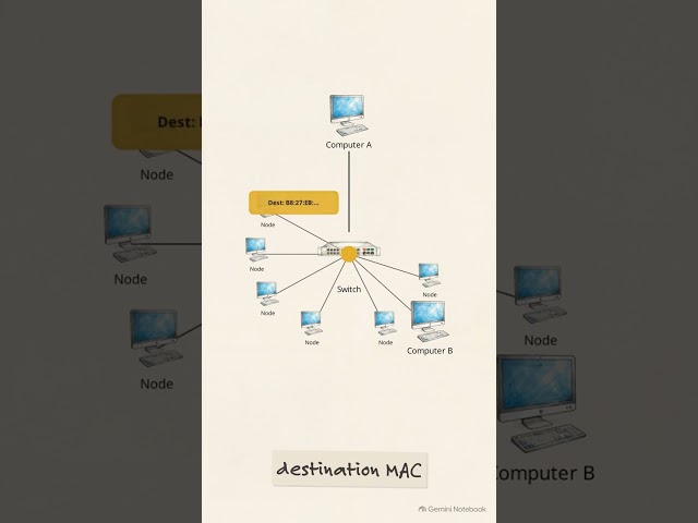 How Ethernet Frames Route Data