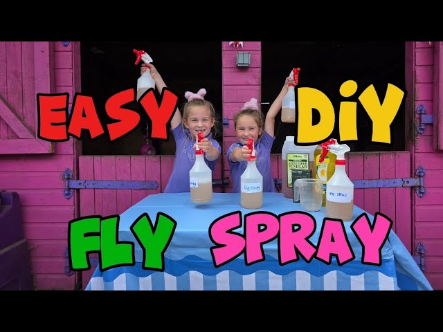 The Easiest DIY Fly Spray Ever! 🪰✨