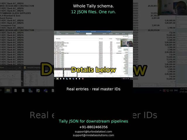 Tally to JSON: whole schema in 12 files, one TDL run — vouchers, ledgers, stock, groups #Tally