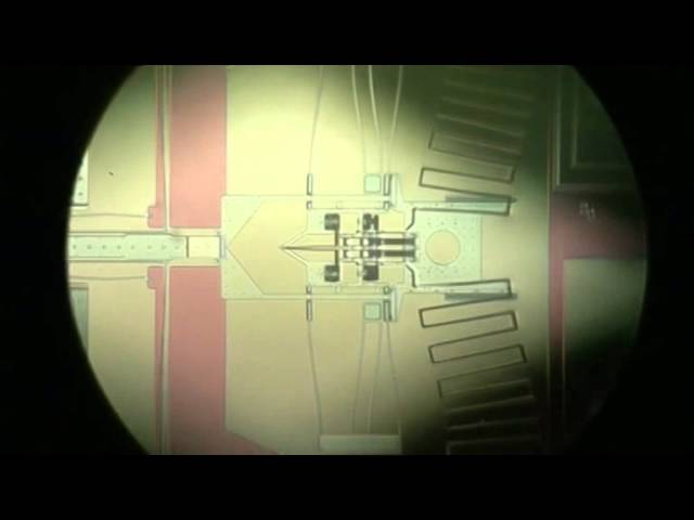 Underwater Thermomechanical In-Plane Microactuation System for DNA Injection
