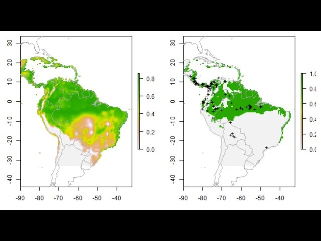 R and Species Distribution Models