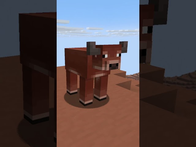 Minecraft Updates Have A New PROBLEM