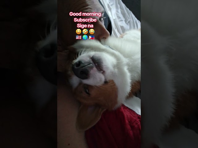 uncle Diogenes and corgi