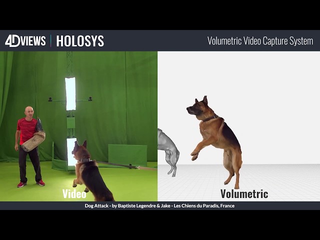 4DViews | Volumetric video: Dog