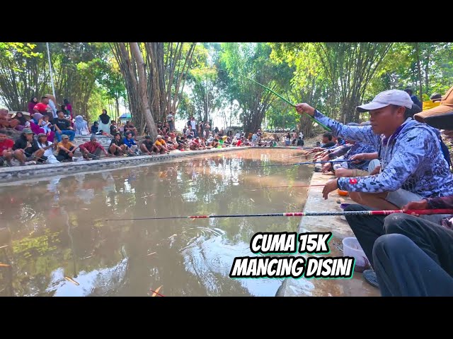 Ikut Lomba Mancing Ikan Lele 17 Agustusan 2025