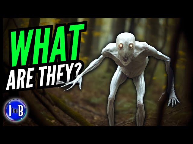 Pale Crawlers: True Tales of Nightmarish Encounters