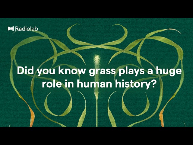 Grass Apes | Radiolab Podcast