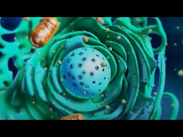 Sanofi – How does mRNA work?