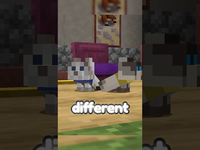Minecraft PET UPDATE NEXT?!?