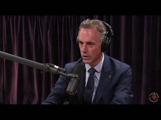 Joe Rogan - Jordan Peterson on the Importance of Competition