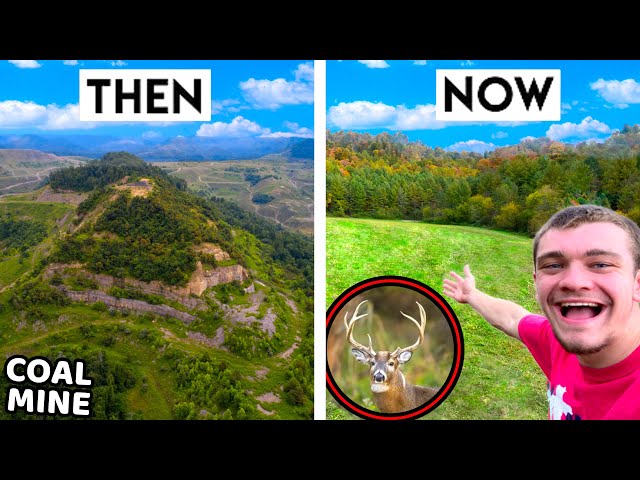 Transforming This Coal Mine into the Ultimate Hunting Land!