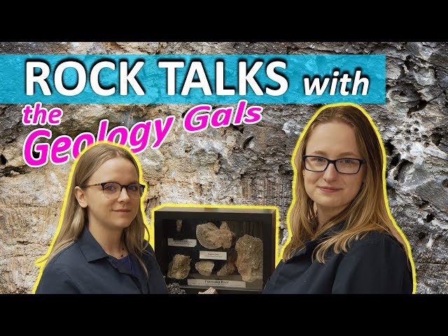 Devonian Reef Cut Perfectly in Half Makes Great Fossil Hunting - Rock Talks