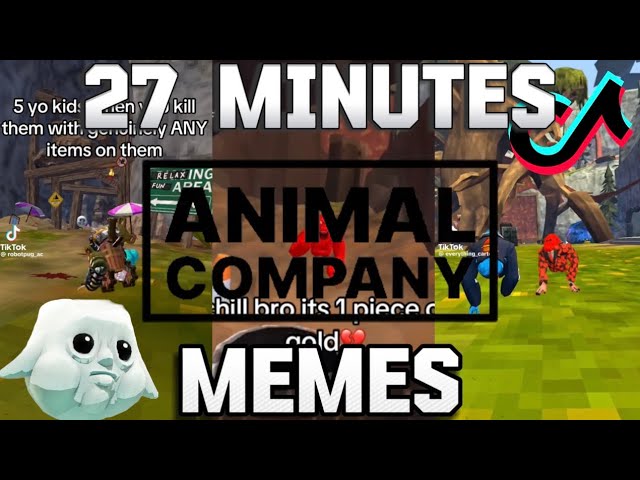 27 MINUTES OF PEAK AC MEMES