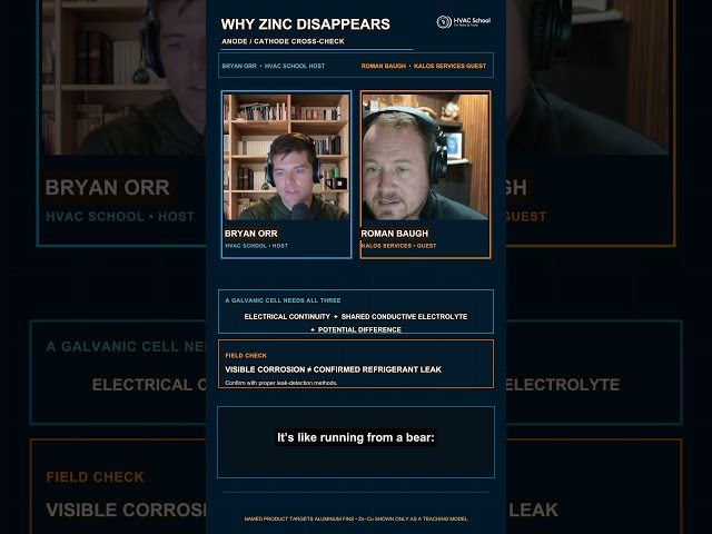Why Zinc Disappears: Anode vs. Cathode #Shorts