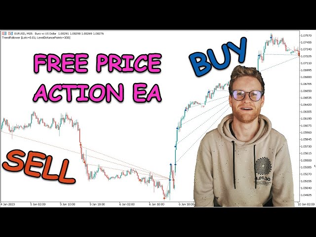 Free mql5 Coding Tutorial - Simple Price Action EA for MT5
