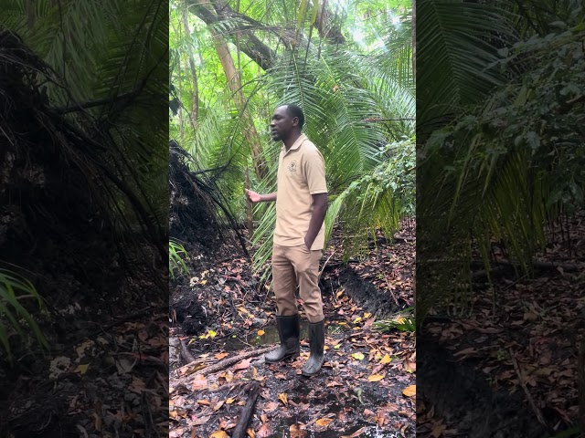 2. Our guide in Jozani
