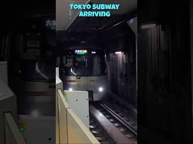 Tokyo Subways Are AMAZING!