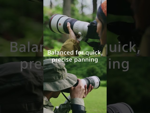 Introducing FE 600mm F6.3 GM OSS | Sony | α Lens #shorts