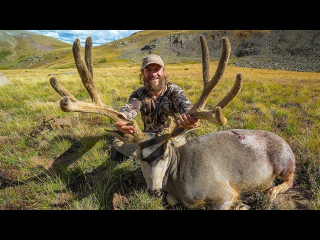 I Burned All My Points on this Mule Deer Hunt! (And it was worth it.)