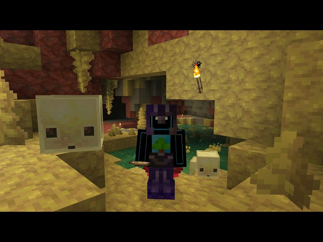 Checking out the latest Minecraft update!