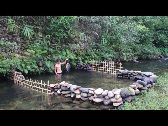 Primitive Technology: Build a Stone Dam to Raise Fish