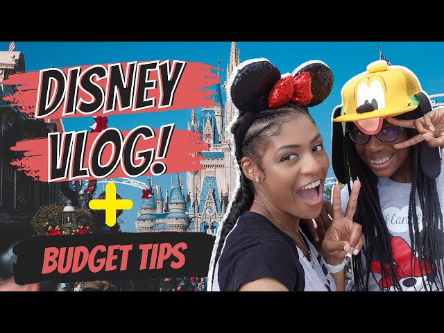Disney World Surprise Vlog | Single Mom Vacation On A Budget