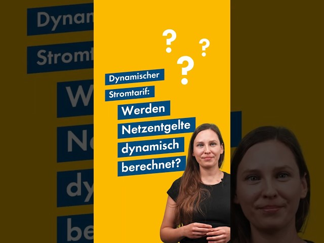 Zeitvariable Netzentgelte: Was sich ändert und wie du profitierst