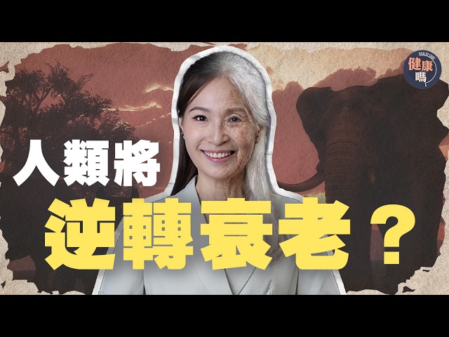 你想長生不老嗎？科學家破解壽命極限 永生靠大象基因？｜健康嗎 @HealthCodeHK 【Code X】 #長生不老 #immortality