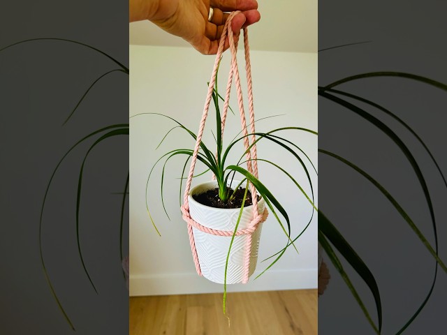 One cord macrame plant hanger. #macrametutorial #diy #planthanger