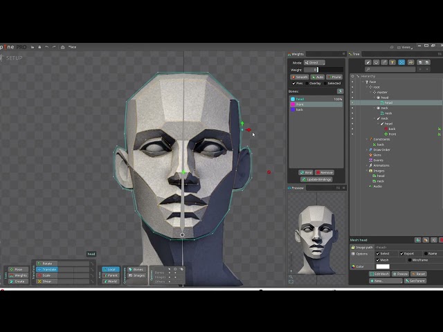 “How to Simple 2.5D Face Rigging  in Spine 2D”