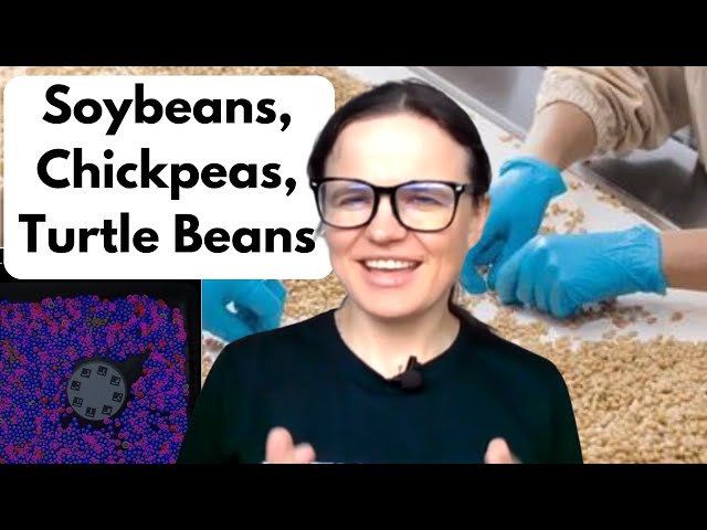 AI in Agriculture: Seed Quality Assurance with Computer Vision—Soybean Size, Color & Count in 5 Min