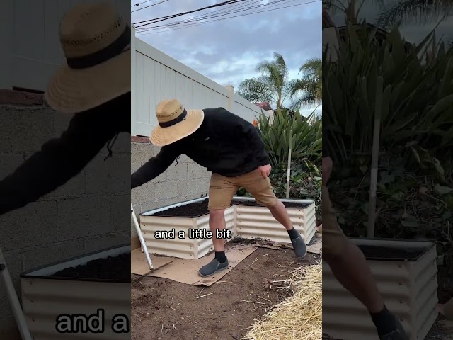 Guaranteed Raised Bed Setup