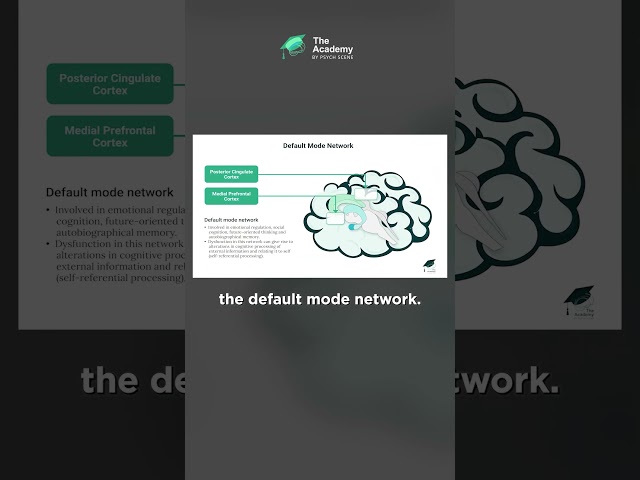 The 3 Key Brain Networks (& How They Shape Arousal, Cognition and Control)