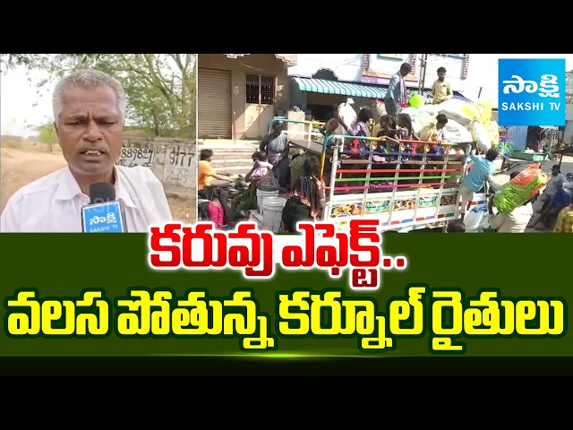 కరువు ఎఫెక్ట్..వలస పోతున్న కర్నూల్ రైతులు | El Nino Effect | Kurnool Farmer Problems | Sakshi TV
