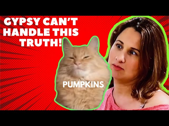 Gypsy Can't Handle This Truth!