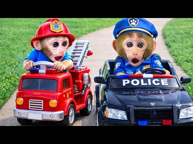 Monkey BonBon i dzień jako policjant 🚓👮‍♂️🌟 – Monkey Poland