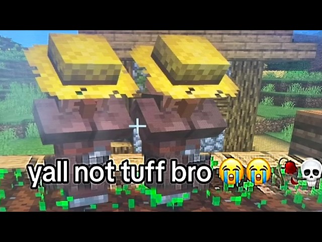 Minecraft Memes