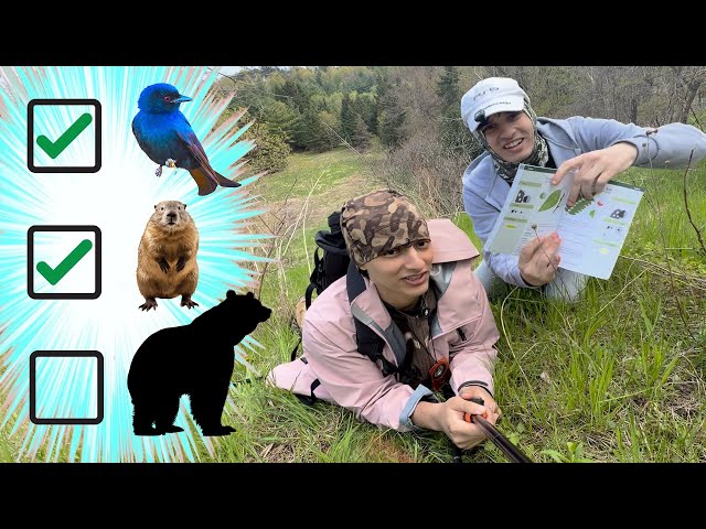 Pokémon Go in Real Life!