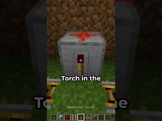 Making a Working Tree Trap in Minecraft ?⛏️💎