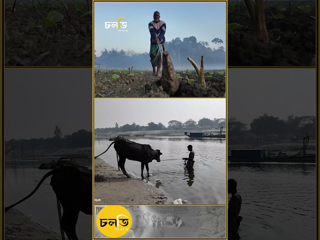 'গরীবের মন অনেক বড়' || চলতি