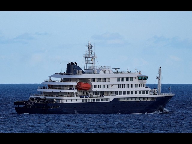 Lewis Spears Reacts to the Cruise Ship Hantavirus Situation
