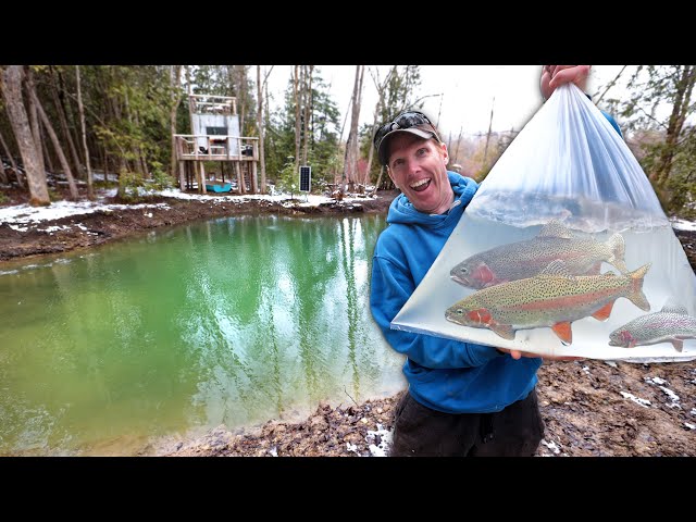 Stocking HOMESTEAD POND with GIANT Fish (Don Catches a BIG'N!) - Erosion Control, Maple Syrup