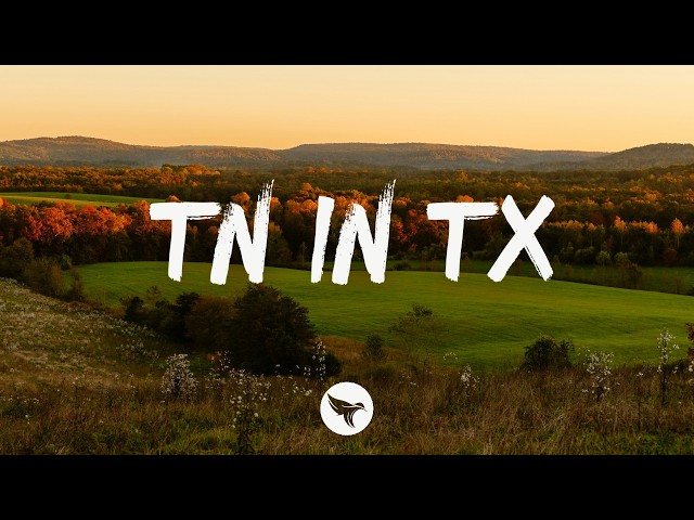 Wolf Mahler - TN in TX (Lyrics)